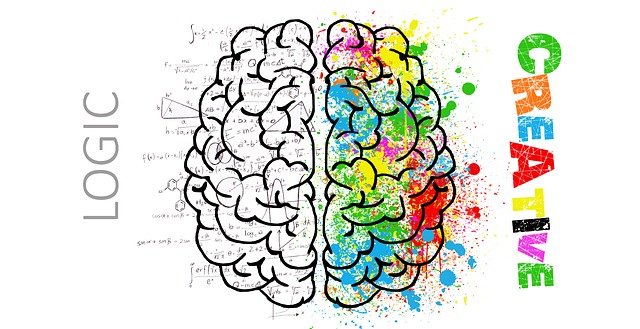 logická a kreativní část mozku